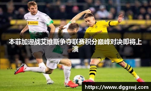 VSport胜利因您更精彩