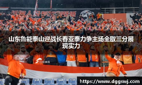 VSport胜利因您更精彩